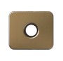 Simon 75057-36 Placa Altavoz/Llave